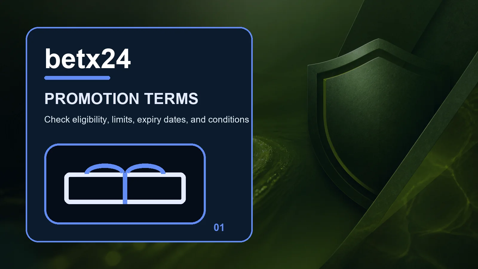 betx24 promotions full-width visual guide 1